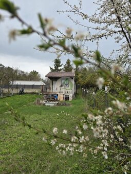 Na predaj murovaná chata v lokalite KE-Šaca, Viničky - 4