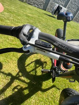 fatbike - 4