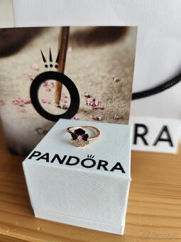 Pandora prsteň - 4