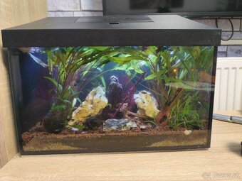 Predám zabehnuté akvárium - 4