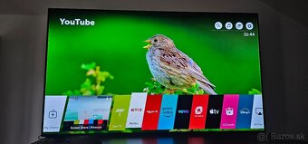 55" LG OLED55B8PLA 139cm - 4