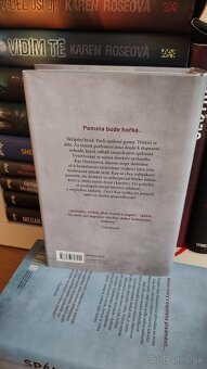 Rachel Amphlett - seria Kay Hunterové - 4