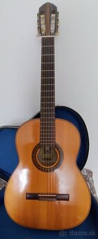 Gitara Schneider - 4
