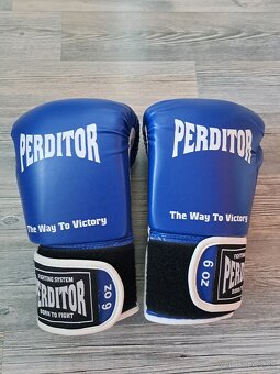 Boxerské rukavice PERDITOR - 4