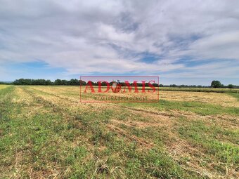 Predáme stavebné pozemky Božčice 1160,1500 a 1500 na výstavb - 4