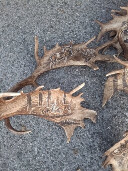 Parohy,zhody,trofeje - 4