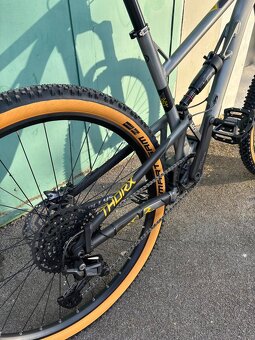 THORX 50 - 4