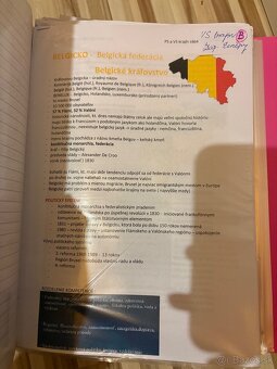 Skriptá  2. ročník UCM FSV verejná správa - 4