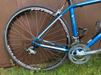 Predam Trek Madone - 4