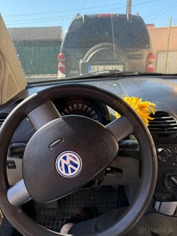 Beetle - 4