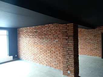 Lacno maliarske a natieracske prace - 4