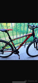 Horský KELLYS SPIDER TNT10 50 29 7 0 Red, M 19 175-187cm - 4