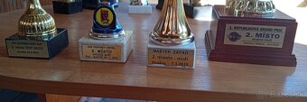 Pohárové trofeje - 4