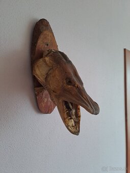 preparovaná šťuka - 4