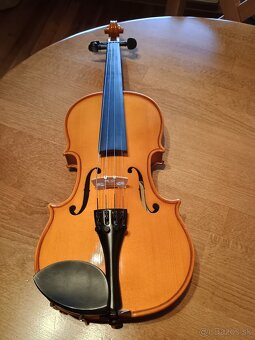 Husle 1/2 Valencia V400 - 4