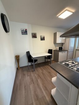 1 izb byt prenajom - 4