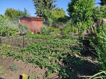 Pekná záhrada na predaj - 4