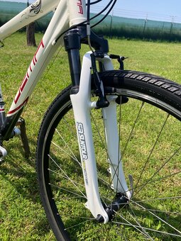 Dema Agila 28” - 4