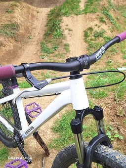 Ctm dirtking - 4