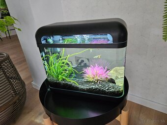 Akvarium 17l - 4
