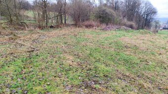 Pozemok na predaj – 4km od mesta Svidník–výborná investícia - 4
