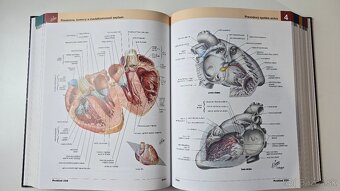 📘 Netterov anatomický atlas, 7. vydanie TOP stav - 4