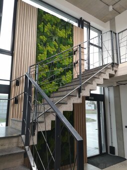 Machové steny a logá na mieru - 4