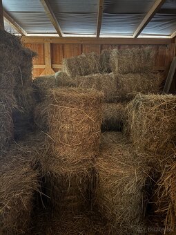 Seno guľaté balíky - 4