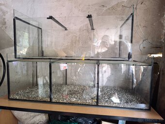 Akvarium - 4