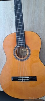 Gitara - 4