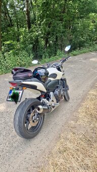 Honda Hornet cb600f..Snina..3900 eur + dohoda - 4