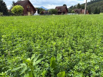 Senáž malé balíky - 4