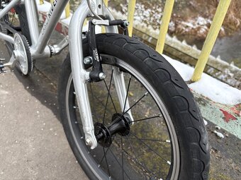 Predam Early Rider 16 - 4