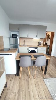 1 izbový byt na prenájom - 4