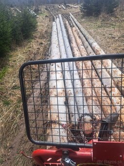 Naviják trojbodový - 4