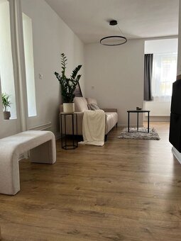 Na prenájom priestranná garsónka v lokalite Horského parku - 4