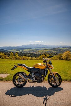 Honda CB600F Hornet 2008 - 4