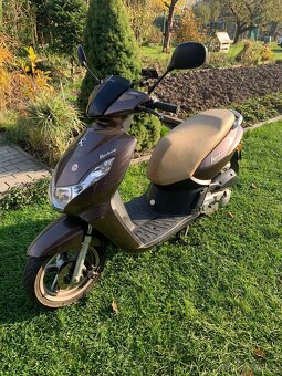 Predam skuter 50cm3 - 4