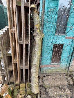 Drevorezbárstvo-drevo orech - 4