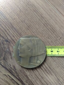 Bronzová pamätná medaila - 4