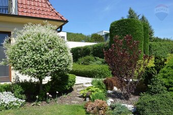 Predaj rodinný dom/vila Nitra Zobor - 4