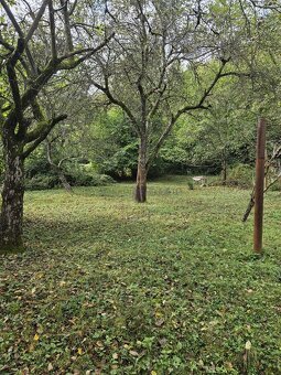 Záhrada  - Cinobaňa časť K.Huta ID 2255 - 4