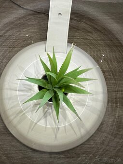 Okrúhle akvárium s lampou - 4