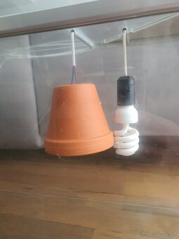 Terárium pre korytnačku - 4