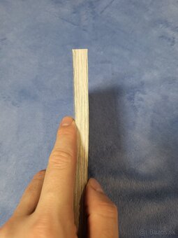 Čarodejová nevesta - 4