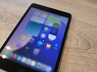Apple iPad mini 5 Cellular 64GB - 4