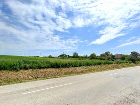 Investičná príležitosť POZEMOK 15 000 m² Malé Hoste - 4