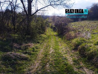 Na predaj stavebný pozemok v obci Banka o výmere 6617m2. - 4