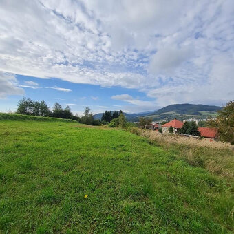 INVESTIČNÝ POZEMOK BREZNO 3344 M2 x 22,- €/M2 = 73.568,- € - 4
