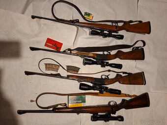 Gulovnice a maloražka - 4